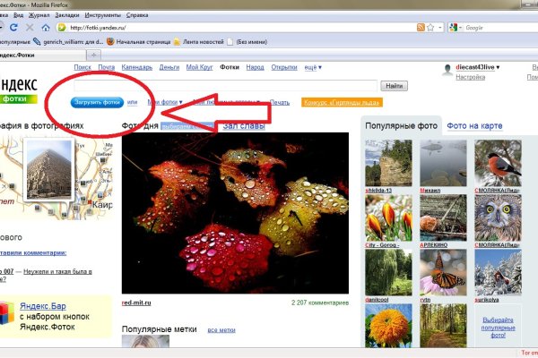Сайт kraken darknet