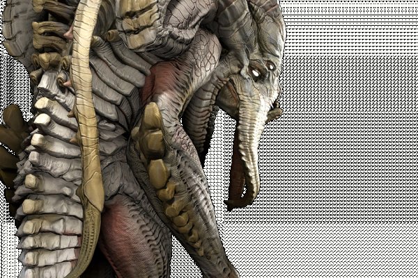 Kraken зеркала kr2web in
