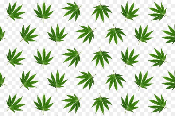 Кракен маркетплейс kr2web in площадка