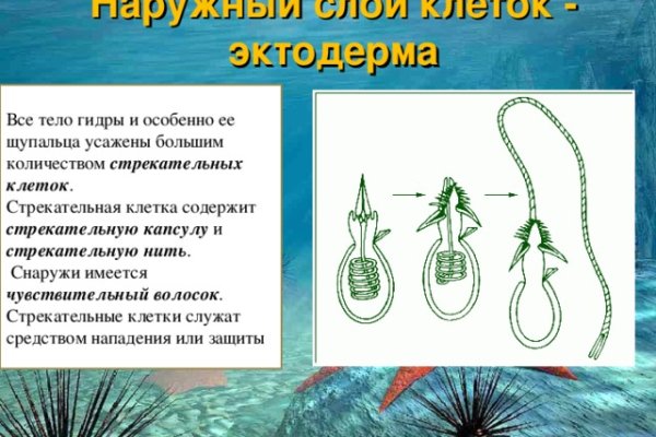 Ссылки на даркнет