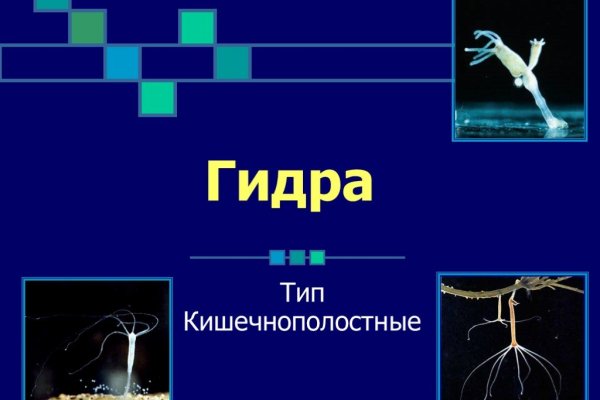 Пользователь не найден кракен что делать