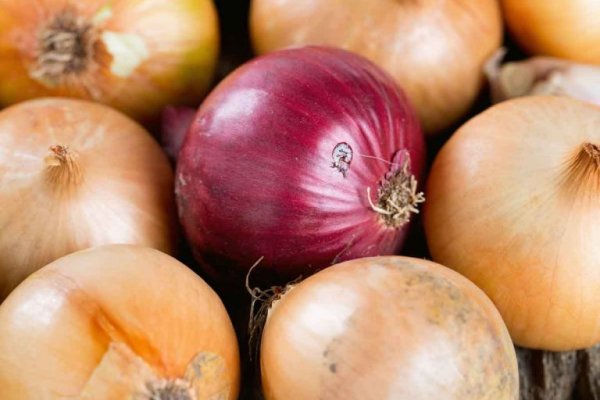 Кракен зеркало рабочее onion