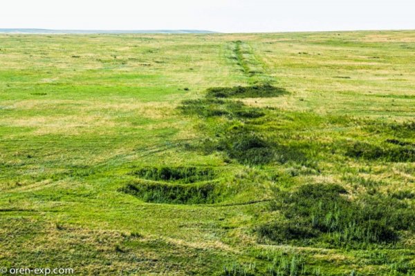 Сайт кракен тор