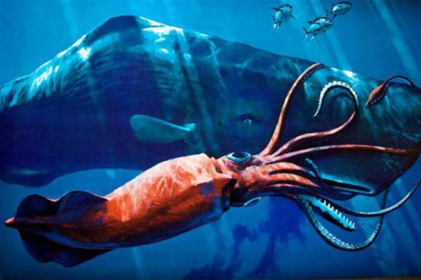 Kraken новая ссылка