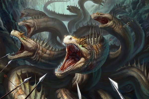 Kraken 17 at net