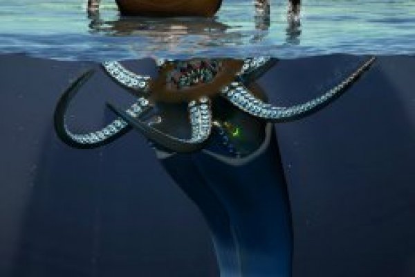 Kraken ссылка тг