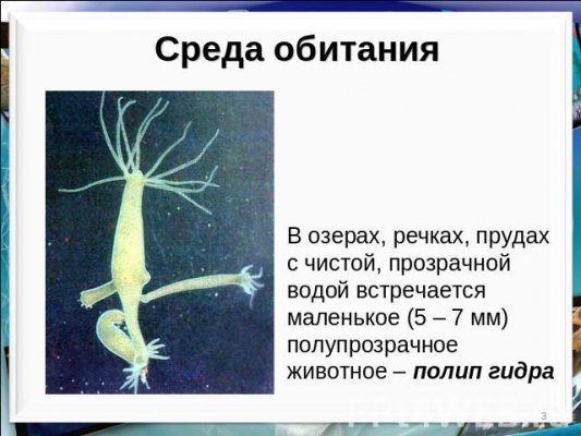 Кракен магазин наркоты