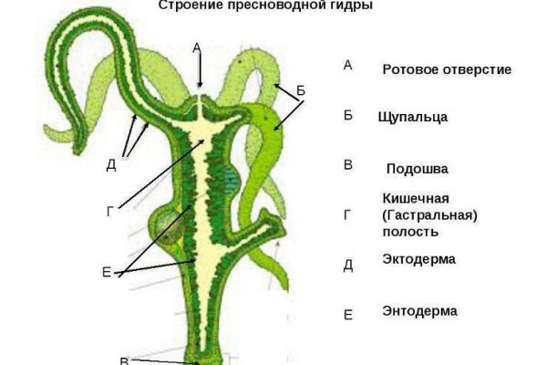 Кракен марихуана
