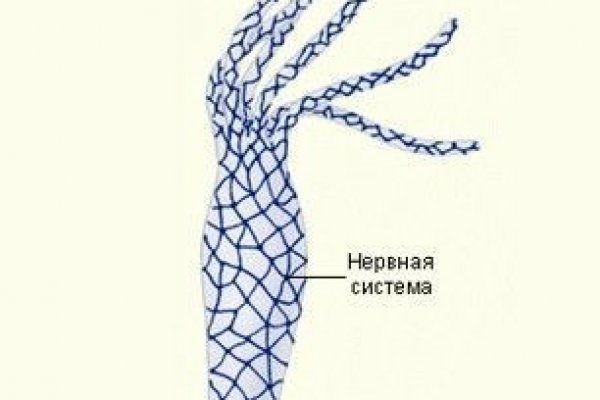 Кракен торговая площадка даркнет